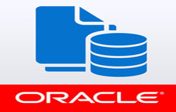 Oracle数据库管理工具有哪些?-北京万搏线上平台,万搏（中国）公司
