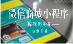 商城小程序开发、北京小程序开发哪家好？-万搏线上平台,万搏（中国）