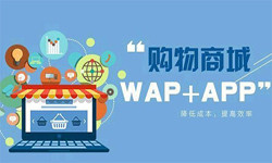 手机商城app万搏线上平台,万搏（中国）流程-北京万搏线上平台,万搏（中国）外包公司