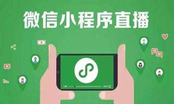 微信小程序开发、直播小程序开发-锐智互动万搏线上平台,万搏（中国）公司 