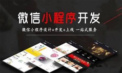万搏线上平台,万搏（中国）公司、定制微信小程序开发，商家需要了解哪些？锐智互动万搏线上平台,万搏（中国）