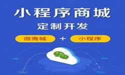 微信小程序开发、商城小程序开发功能-锐智互动万搏线上平台,万搏（中国）